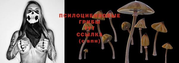 ECSTASY Волоколамск