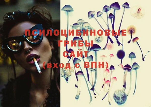 apvp Бронницы
