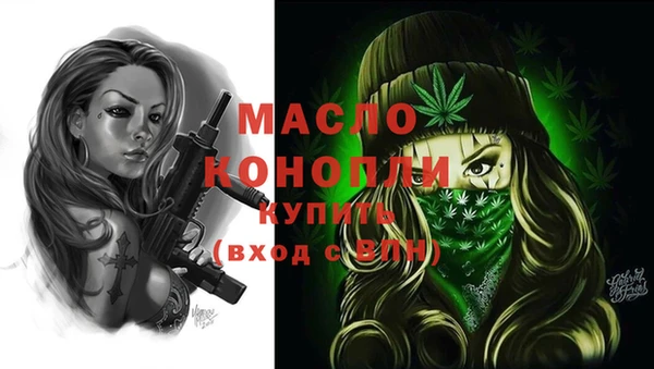 дживик Володарск